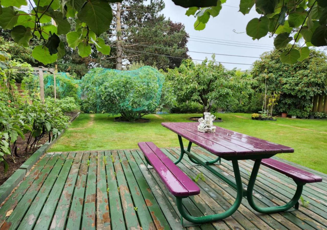 Private Single In A House Homestay