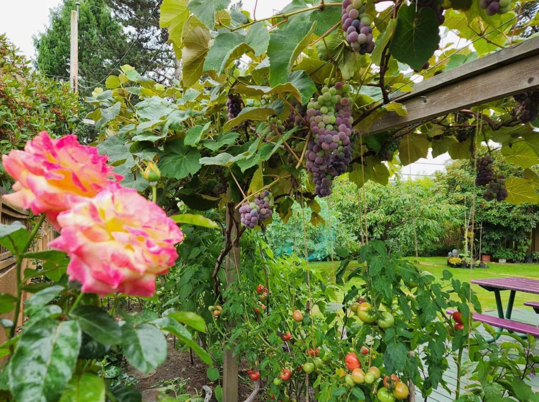 Private Single In A House * Richmond